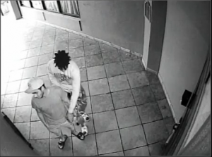 Surveillance screenshot